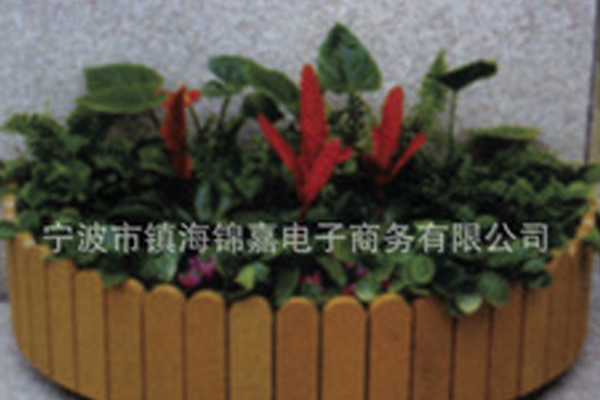 1594635183197727.jpg 6.jpg