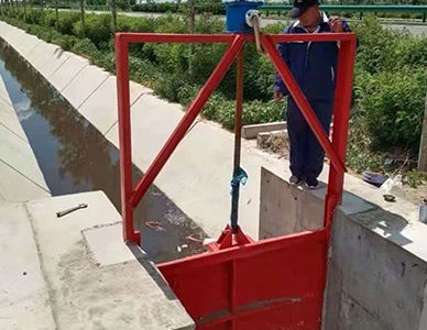 1769499693306373.jpg 1.jpg