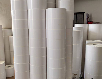 1769501752226698.jpg 4.jpg