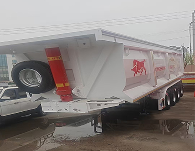 1775811125295691.jpg 444.jpg