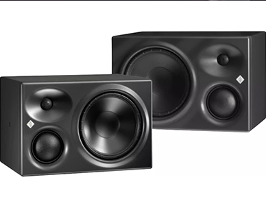 1775812977933360.jpg 诺音曼310音箱.jpg