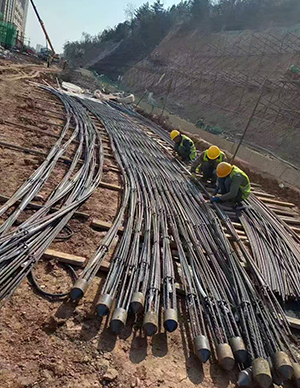 1775814388620732.jpg 31.jpg