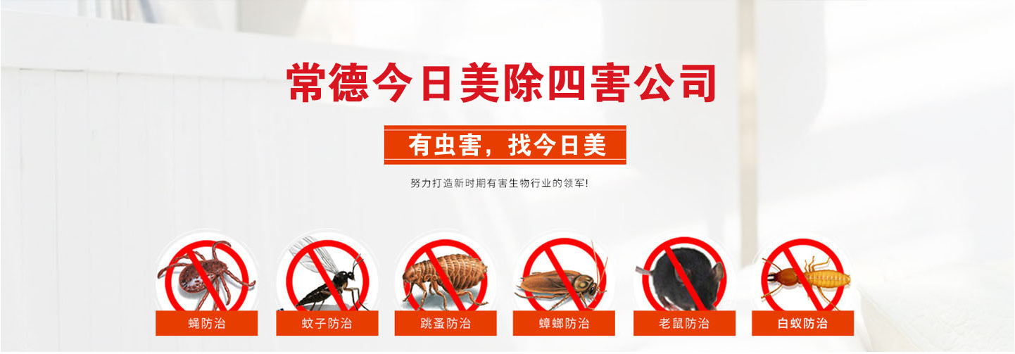 1587557217465732.png c7a1bd9c7011b28d96635efe5f1db64.png