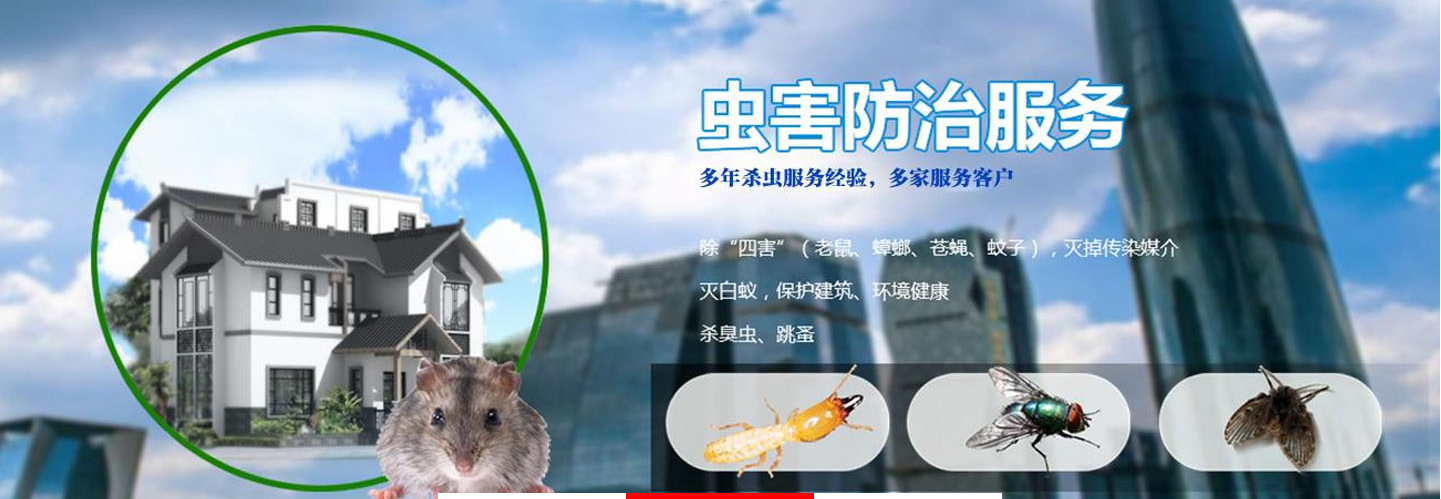 1587557347113483.png 15564397780d7a207485cf27ce0426f.png